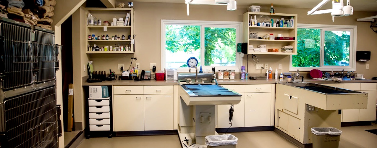 Cascade Animal Clinic